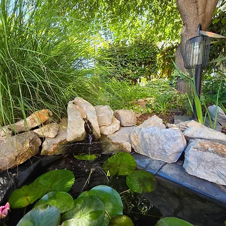 Garden Oasis With Terrace And Free Parking דירה *
