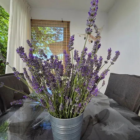 דירה Garden Oasis With Terrace And Free Parking