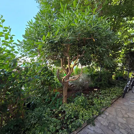 Garden Oasis With Terrace And Free Parking شقة كرك