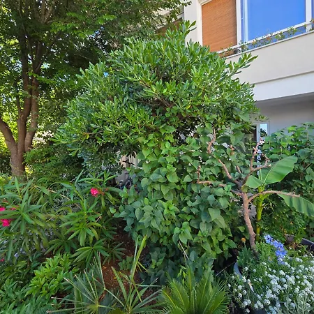 Garden Oasis With Terrace And Free Parking *