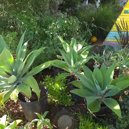 Garden Oasis With Terrace And Free Parking شقة كرك