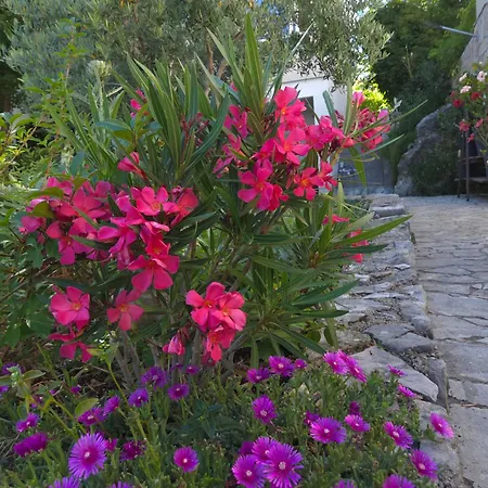 شقة Garden Oasis With Terrace And Free Parking كرك