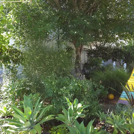 شقة Garden Oasis With Terrace And Free Parking كرك